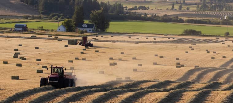 A Life of Significance